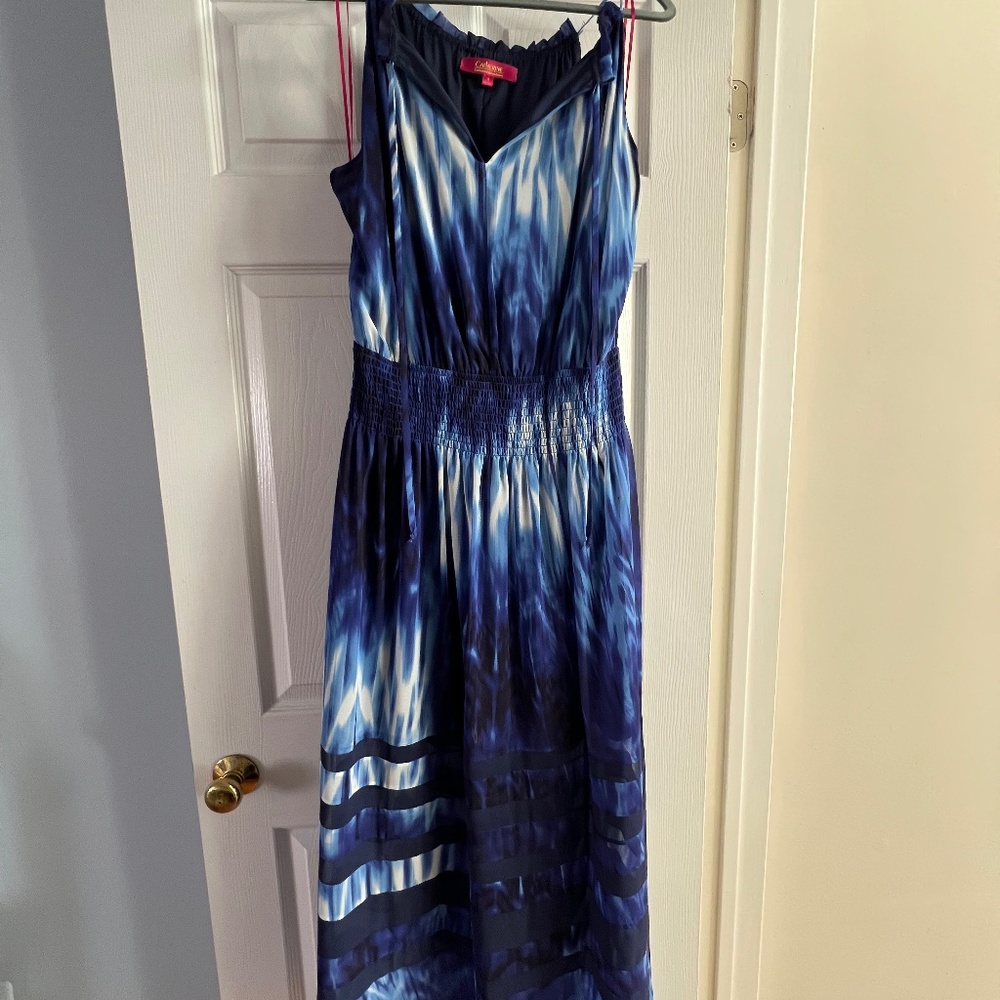Catherine Malandrino size 8 blue and white maxi dress